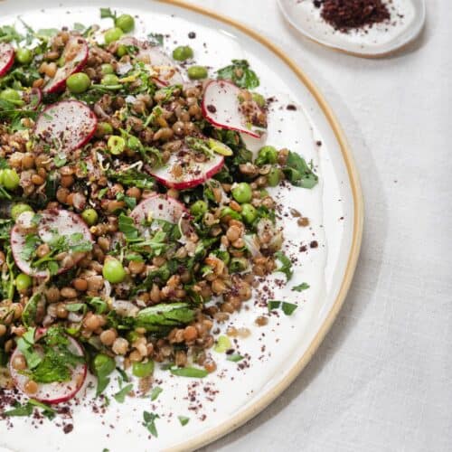 A plate full of salad on a white surface with a small tray of sumac next to it, taken from a side angle | Hurry The Food Up