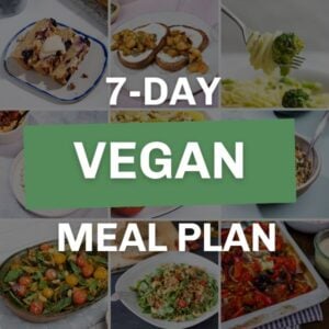 vegan meal plan